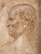 LEONARDO da Vinci Master of the Pala Sforzesca, profile of an old man oil painting artist